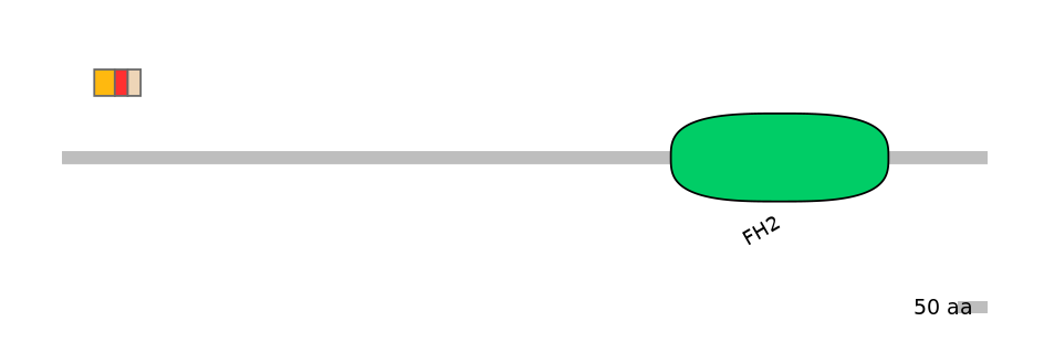 MmuEX0019232-INC