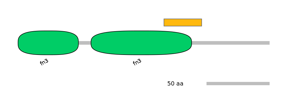 MmuEX0019425-EXC