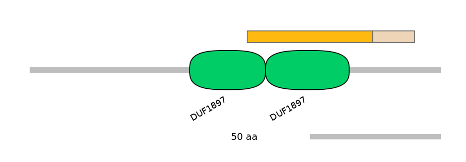 MmuEX0019728-EXC