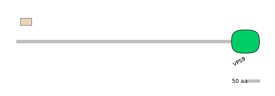 MmuEX0020067-EXC