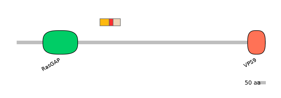 MmuEX0020067-INC