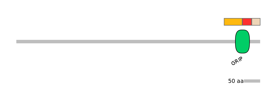 MmuEX0021409-INC