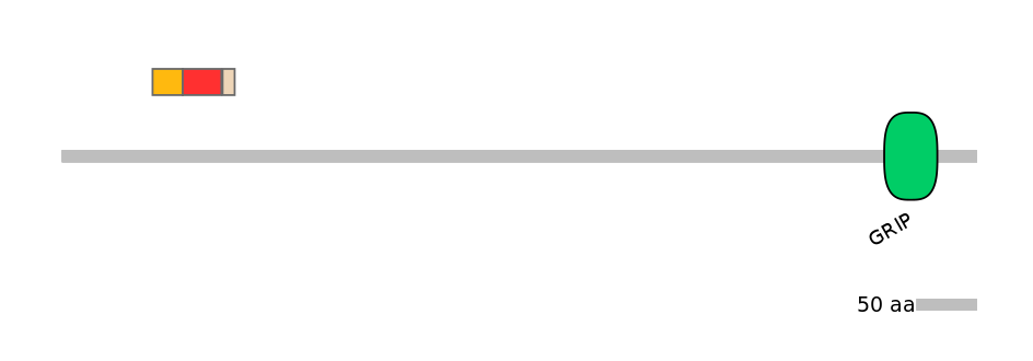 MmuEX0021413-INC