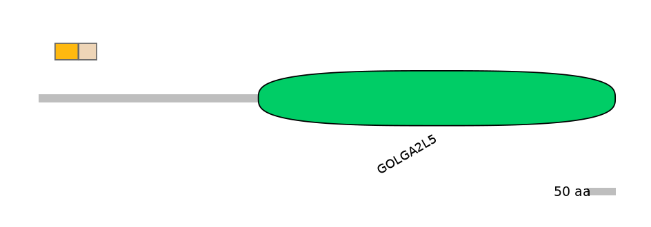 MmuEX0021418-EXC