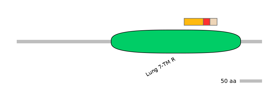 MmuEX0021632-INC