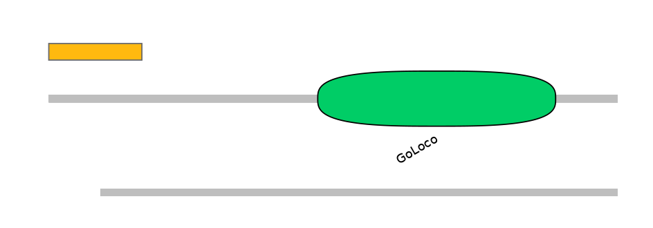 MmuEX0021767-EXC