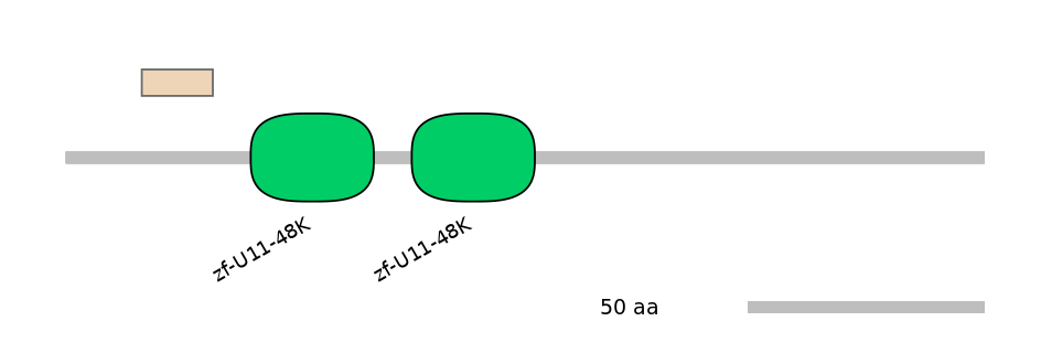 MmuEX0022194-EXC