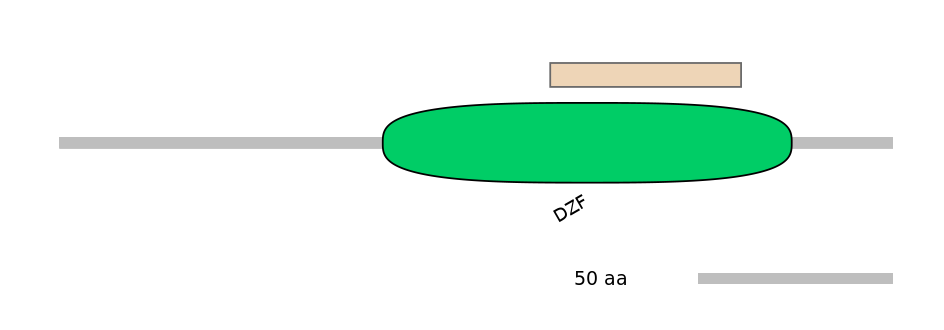 MmuEX0024054-EXC