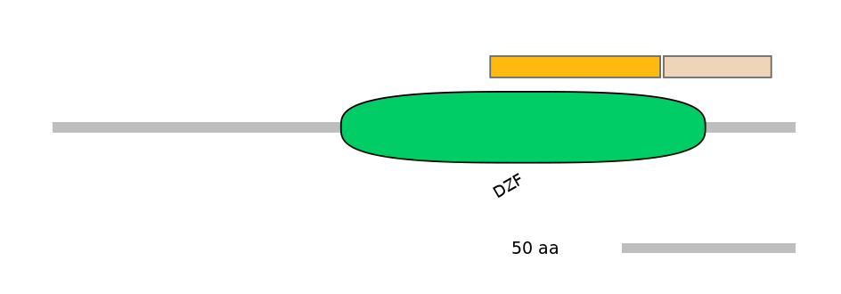 MmuEX0024062-EXC