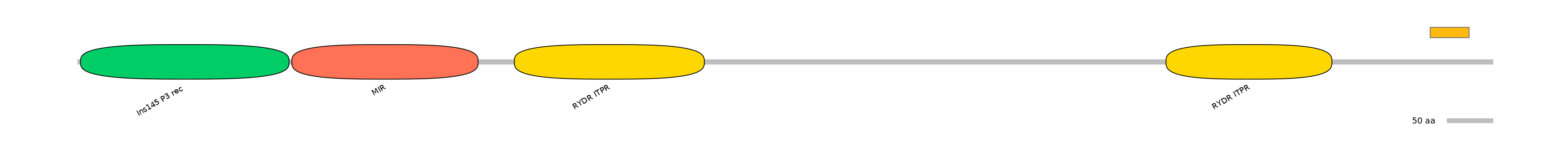 MmuEX0024725-EXC