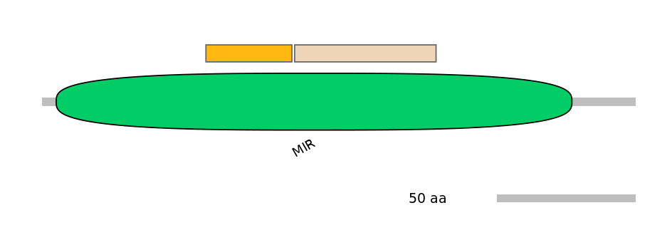 MmuEX0024732-EXC