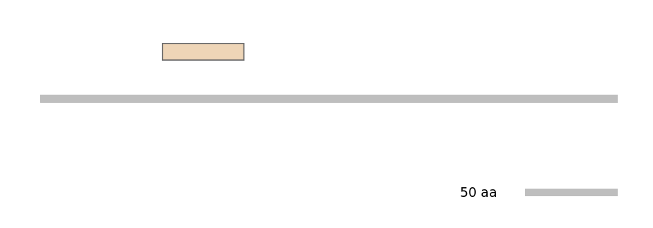 MmuEX0024735-EXC