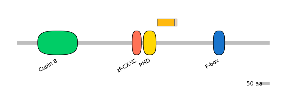 MmuEX0025282-EXC