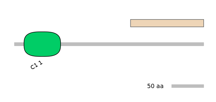 MmuEX0025283-EXC