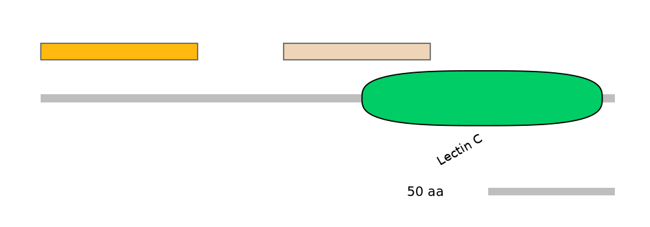 MmuEX0025828-EXC
