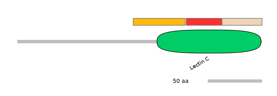 MmuEX0025831-INC