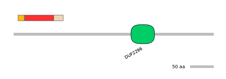 MmuEX0026644-INC