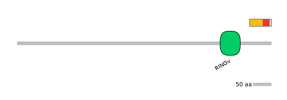 MmuEX0027931-INC