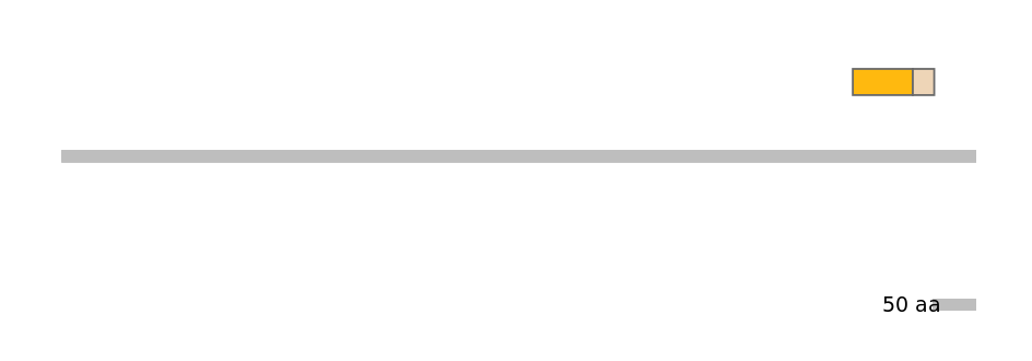 MmuEX0028085-EXC