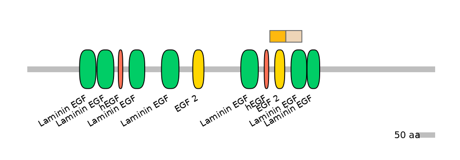 MmuEX0028584-EXC