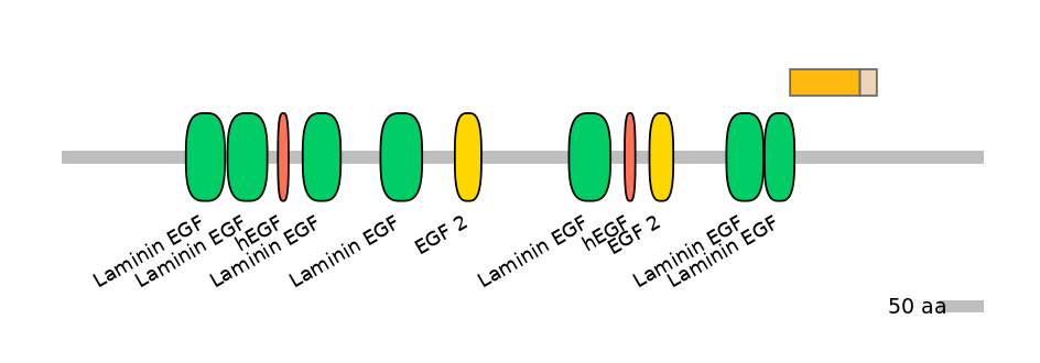 MmuEX0028586-EXC