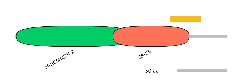 MmuEX0029214-EXC