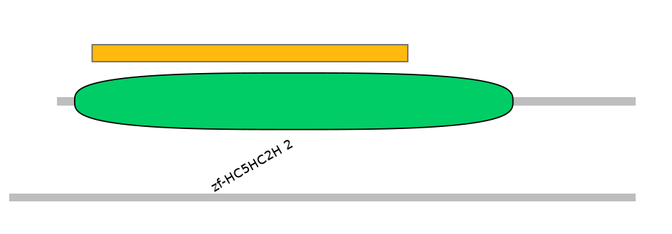 MmuEX0029223-EXC