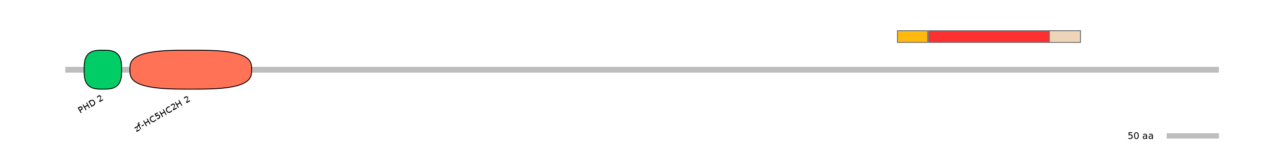 MmuEX0029246-INC