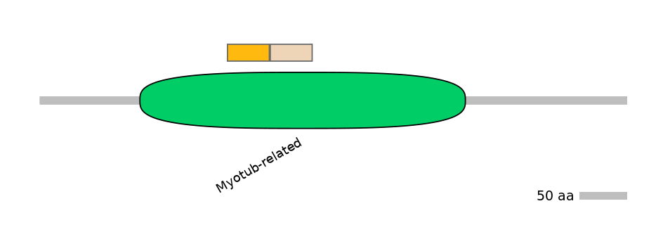 MmuEX0030102-EXC