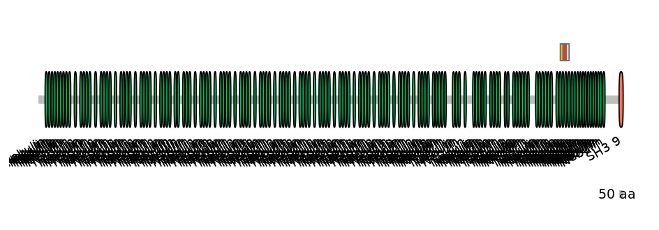 MmuEX0031330-INC