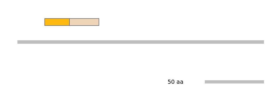 MmuEX0031486-EXC