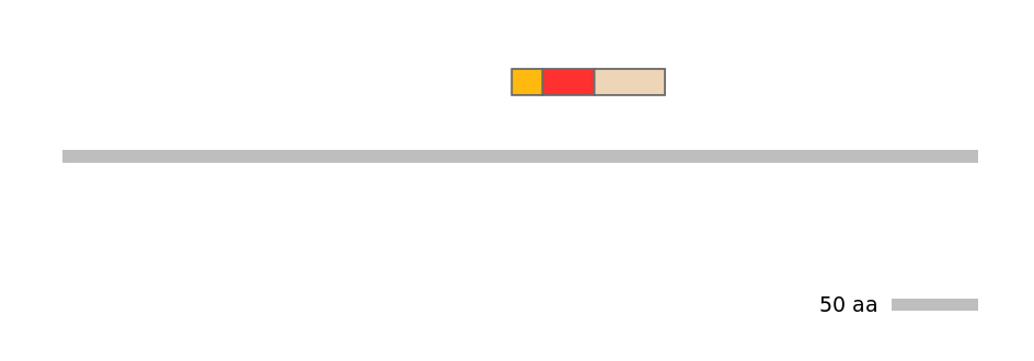 MmuEX0031487-INC