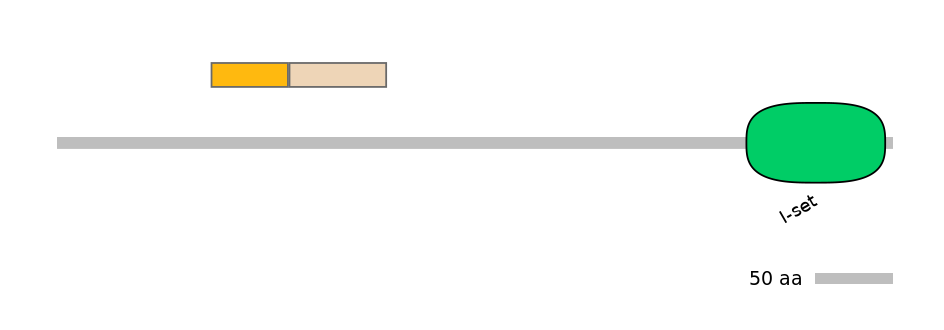 MmuEX0031534-EXC