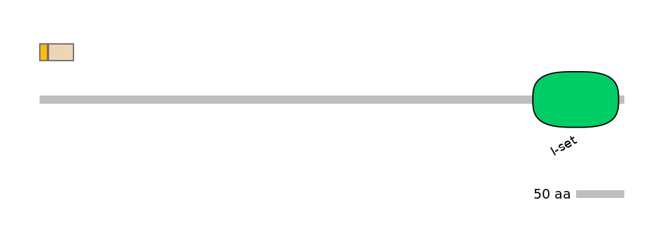 MmuEX0031536-EXC