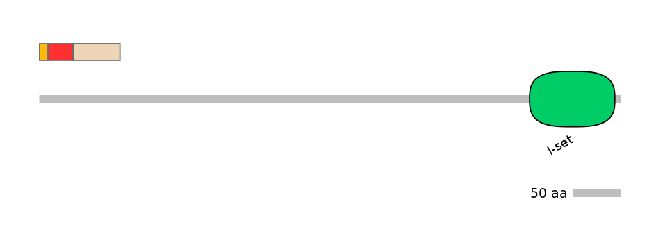 MmuEX0031537-INC