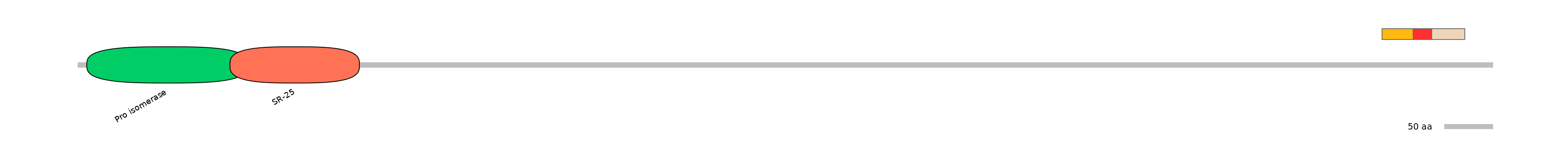 MmuEX0031813-INC