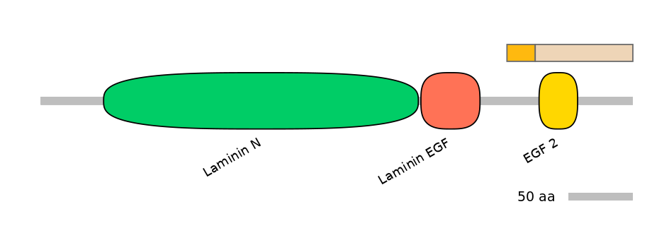 MmuEX0032532-EXC