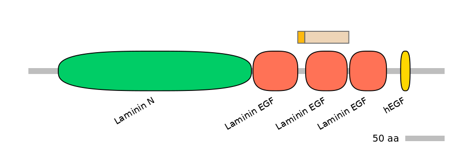 MmuEX0032540-EXC