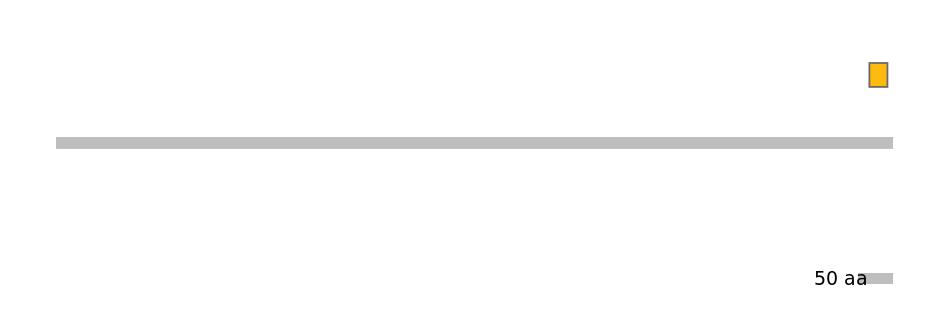 MmuEX0032771-EXC