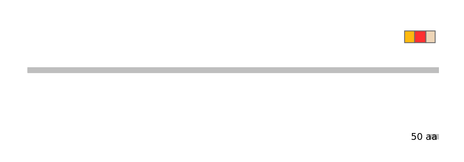 MmuEX0032774-INC
