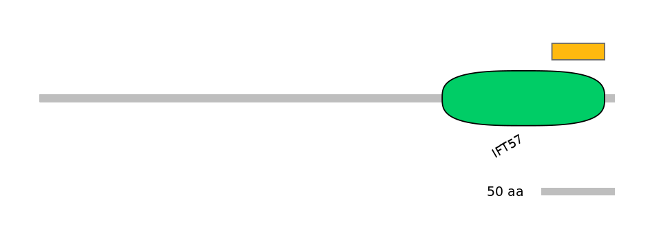 MmuEX0032971-EXC