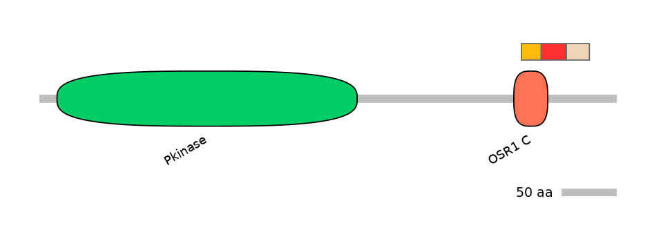 MmuEX0033371-INC