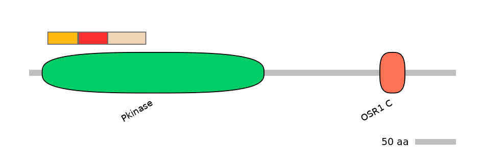 MmuEX0033373-INC