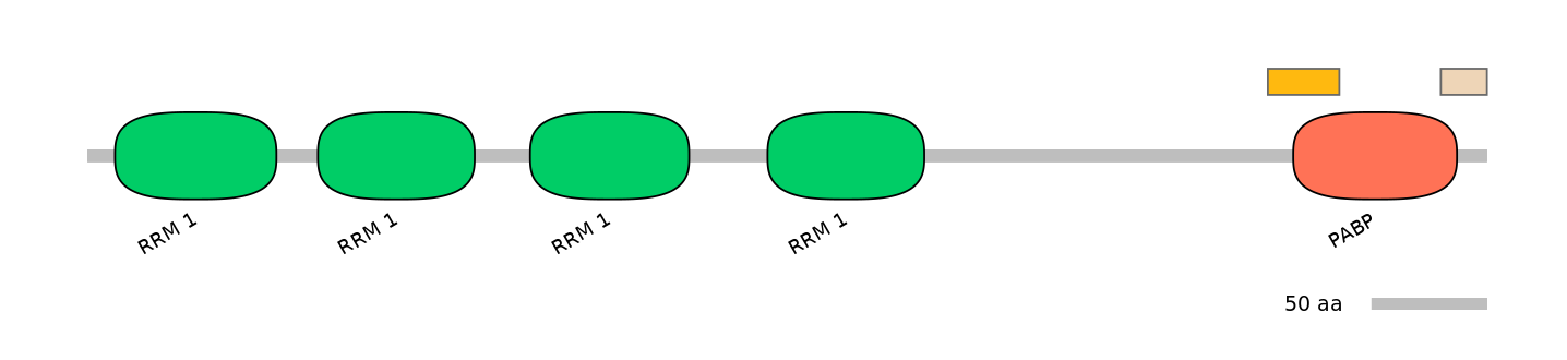 MmuEX0033422-EXC