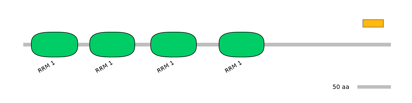 MmuEX0033423-EXC