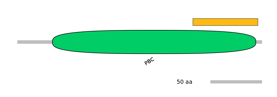 MmuEX0033848-EXC