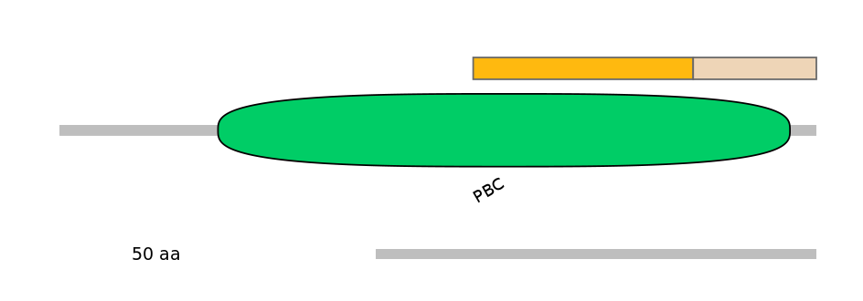 MmuEX0033854-EXC