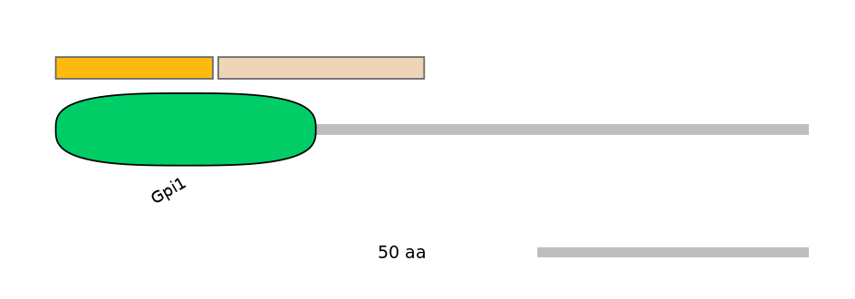 MmuEX0035084-EXC