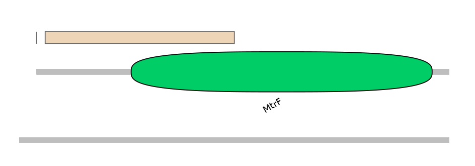 MmuEX0036058-EXC