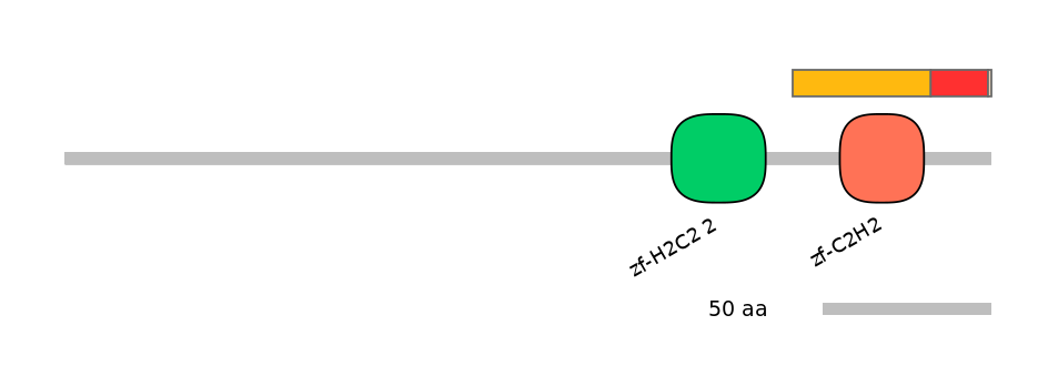 MmuEX0036976-INC